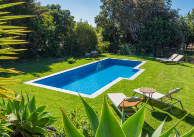 Outdoor swimming pool at Ash Grove Motel in Paihia, surrounded by gardens, sun loungers, and a peaceful lawn setting.